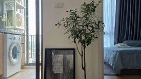 1 Bedroom Condo for rent in Cerocco Bangna 36, Bang Na, Bangkok