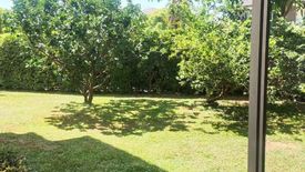 4 Bedroom House for sale in Siwalee Sankampang, San Klang, Chiang Mai