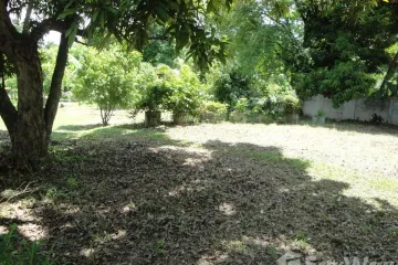 Land for sale in Hang Hong, Sakon Nakhon