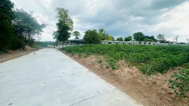 Land for sale in Suranari, Nakhon Ratchasima