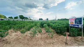 Land for sale in Suranari, Nakhon Ratchasima