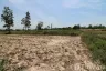 Land for sale in Phak Top, Udon Thani