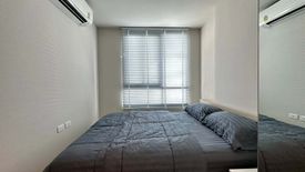 Condo for rent in Nue Noble Ngamwongwan, Bang Khen, Nonthaburi