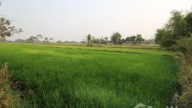 Land for sale in Khamin, Sakon Nakhon