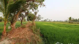 Land for sale in Khamin, Sakon Nakhon