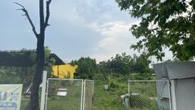 Land for sale in Lak Hok, Pathum Thani