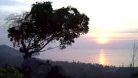 Land for sale in Ko Tao, Surat Thani