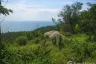 Land for sale in Ko Tao, Surat Thani