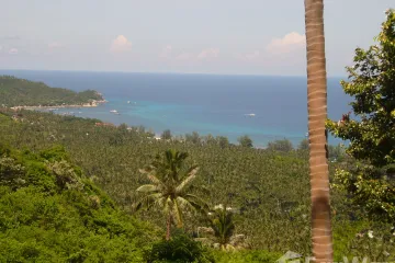 Land for sale in Ko Tao, Surat Thani