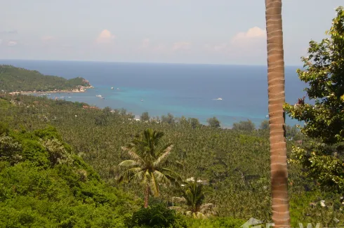 Land for sale in Ko Tao, Surat Thani