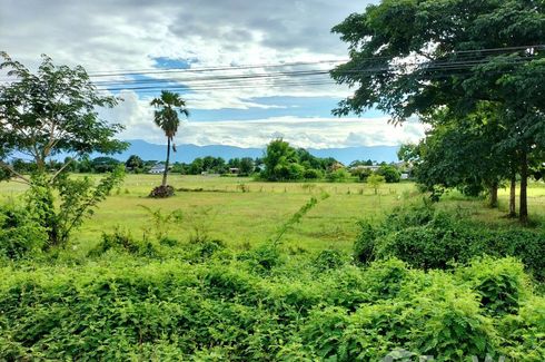 Land for sale in Mae Puem, Phayao