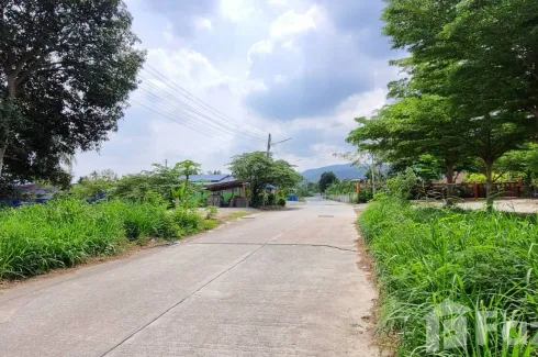 Land for sale in Nong Ri, Chonburi