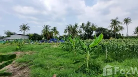 Land for sale in Nong Ri, Chonburi