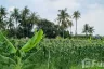 Land for sale in Nong Ri, Chonburi