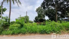 Land for sale in Nong Ri, Chonburi