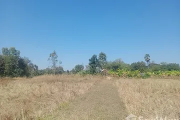 Land for sale in Si Suk, Maha Sarakham