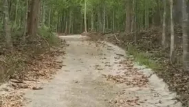 Land for sale in Fai Kaeo, Nan