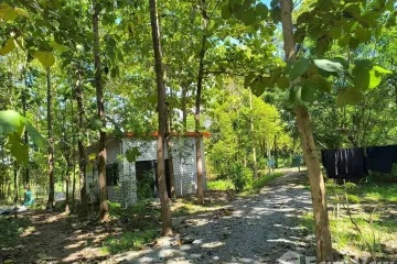 Land for sale in Fai Kaeo, Nan