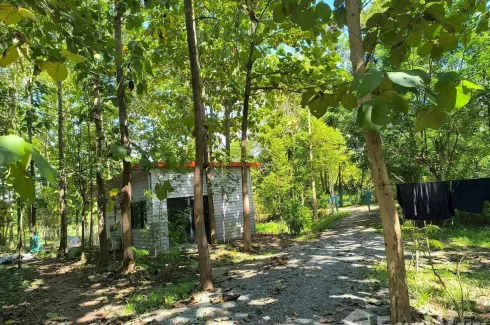 Land for sale in Fai Kaeo, Nan