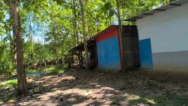 Land for sale in Fai Kaeo, Nan