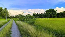 Land for sale in Rim Kok, Chiang Rai