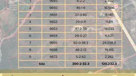 Land for sale in Wang Man, Tak