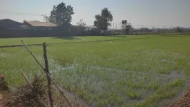 Land for sale in Mae Kon, Chiang Rai