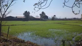 Land for sale in Mae Kon, Chiang Rai