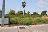 Land for sale in Nong Mai Daeng, Chonburi
