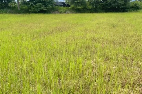 Land for sale in Baan Deejai Koh Kha, Tha Pha, Lampang