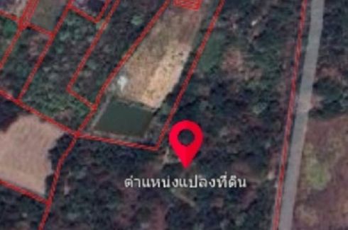 Land for sale in Nong Nam Sai, Phra Nakhon Si Ayutthaya