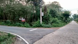 Land for sale in Nong Nam Sai, Phra Nakhon Si Ayutthaya