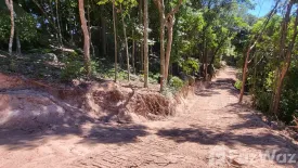 Land for sale in Ko Tao, Surat Thani