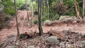 Land for sale in Ko Tao, Surat Thani