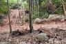 Land for sale in Ko Tao, Surat Thani