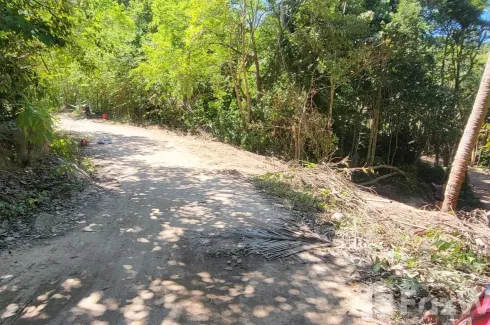 Land for sale in Ko Tao, Surat Thani