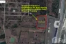Land for sale in Isan, Buriram