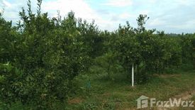 Land for sale in Mae Kha, Chiang Mai