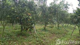 Land for sale in Mae Kha, Chiang Mai