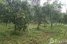 Land for sale in Mae Kha, Chiang Mai