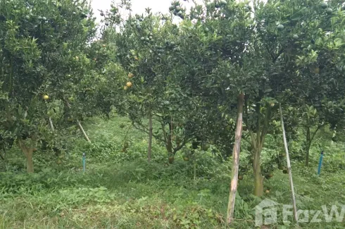 Land for sale in Mae Kha, Chiang Mai