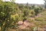 Land for sale in Mae Kha, Chiang Mai