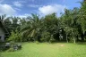 Land for sale in Na Tai, Surat Thani