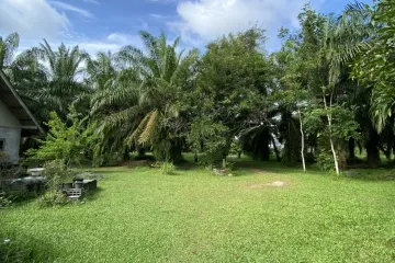 Land for sale in Na Tai, Surat Thani