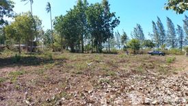 Land for sale in Don Sak, Surat Thani