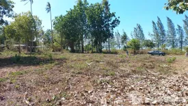 Land for sale in Don Sak, Surat Thani