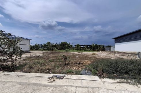 Land for sale in Pinthongland Factory Village, Lahan, Nonthaburi