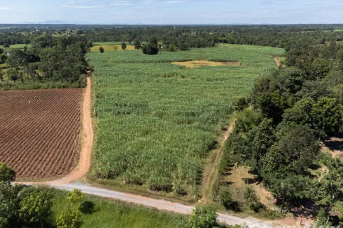 Land for sale in Hua Na, Nong Bua Lamphu