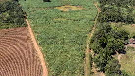 Land for sale in Hua Na, Nong Bua Lamphu