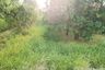 Land for sale in Wang Kai Thuean, Chainat